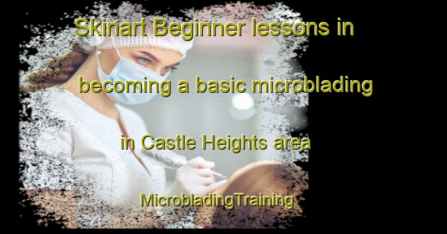 Skinart Beginner lessons in becoming a basic microblading in Castle Heights area | MicrobladingTraining | MicrobladingClasses | SkinartTraining-United States