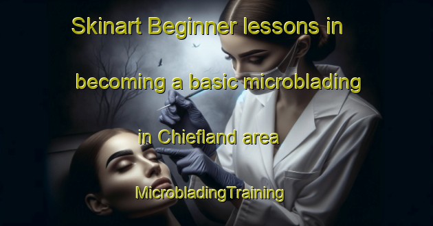 Skinart Beginner lessons in becoming a basic microblading in Chiefland area | MicrobladingTraining | MicrobladingClasses | SkinartTraining-United States
