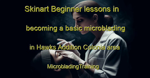 Skinart Beginner lessons in becoming a basic microblading in Hawks Addition Colonia area | MicrobladingTraining | MicrobladingClasses | SkinartTraining-United States