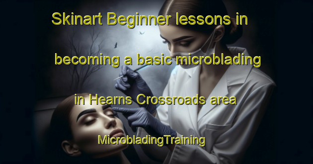 Skinart Beginner lessons in becoming a basic microblading in Hearns Crossroads area | MicrobladingTraining | MicrobladingClasses | SkinartTraining-United States
