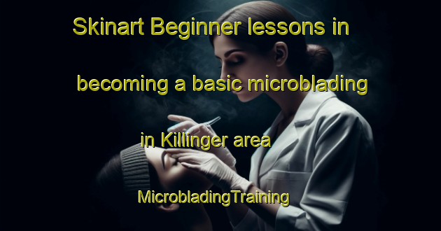 Skinart Beginner lessons in becoming a basic microblading in Killinger area | MicrobladingTraining | MicrobladingClasses | SkinartTraining-United States