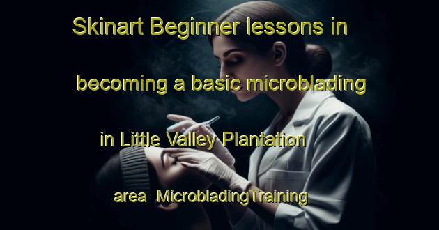 Skinart Beginner lessons in becoming a basic microblading in Little Valley Plantation area | MicrobladingTraining | MicrobladingClasses | SkinartTraining-United States