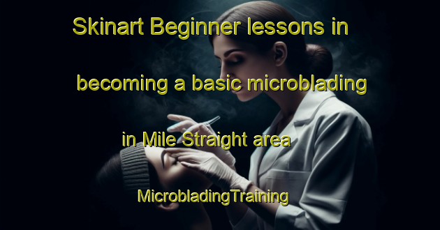 Skinart Beginner lessons in becoming a basic microblading in Mile Straight area | MicrobladingTraining | MicrobladingClasses | SkinartTraining-United States