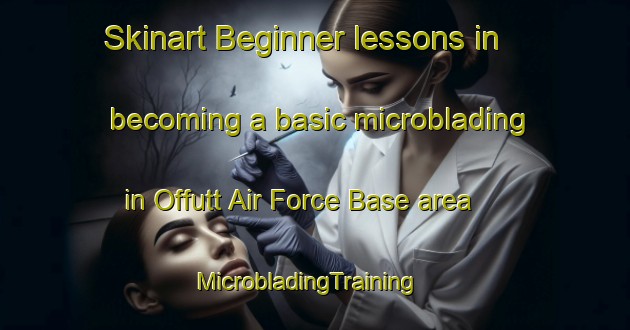 Skinart Beginner lessons in becoming a basic microblading in Offutt Air Force Base area | MicrobladingTraining | MicrobladingClasses | SkinartTraining-United States