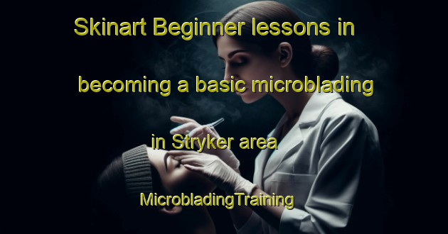 Skinart Beginner lessons in becoming a basic microblading in Stryker area | MicrobladingTraining | MicrobladingClasses | SkinartTraining-United States