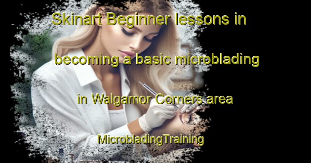 Skinart Beginner lessons in becoming a basic microblading in Walgamor Corners area | MicrobladingTraining | MicrobladingClasses | SkinartTraining-United States