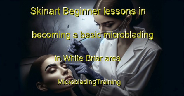 Skinart Beginner lessons in becoming a basic microblading in White Briar area | MicrobladingTraining | MicrobladingClasses | SkinartTraining-United States