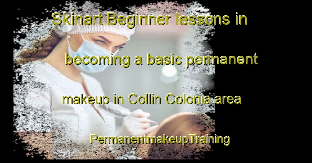 Skinart Beginner lessons in becoming a basic permanent makeup in Collin Colonia area | PermanentmakeupTraining | PermanentmakeupClasses | SkinartTraining-United States