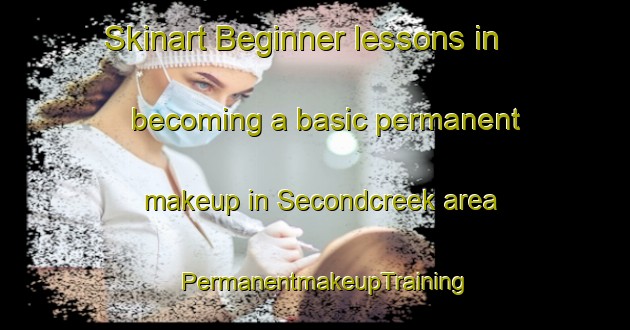 Skinart Beginner lessons in becoming a basic permanent makeup in Secondcreek area | PermanentmakeupTraining | PermanentmakeupClasses | SkinartTraining-United States