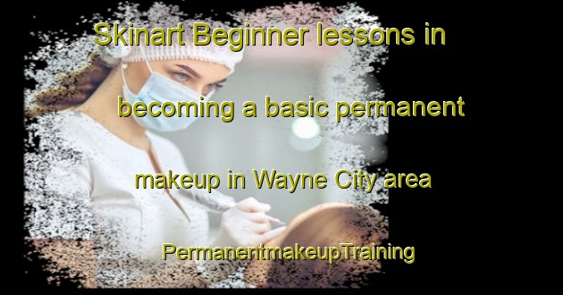 Skinart Beginner lessons in becoming a basic permanent makeup in Wayne City area | PermanentmakeupTraining | PermanentmakeupClasses | SkinartTraining-United States