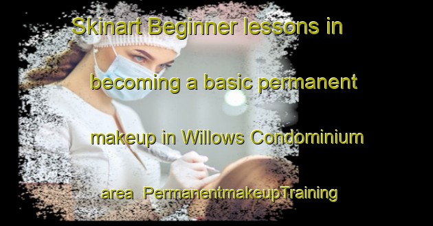 Skinart Beginner lessons in becoming a basic permanent makeup in Willows Condominium area | PermanentmakeupTraining | PermanentmakeupClasses | SkinartTraining-United States