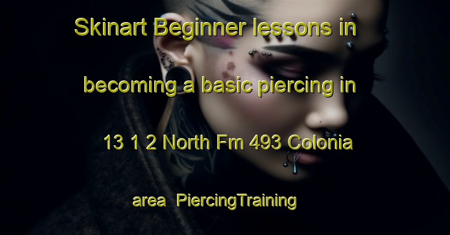 Skinart Beginner lessons in becoming a basic piercing in 13 1 2 North Fm 493 Colonia area | PiercingTraining | PiercingClasses | SkinartTraining-United States
