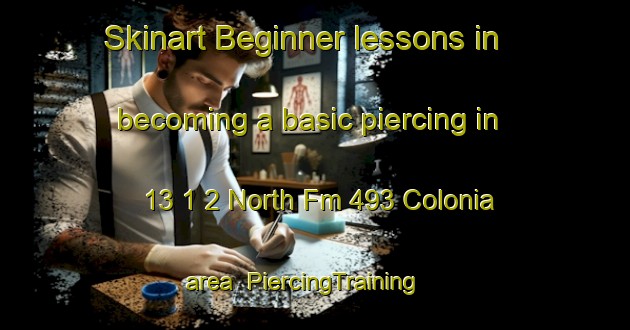 Skinart Beginner lessons in becoming a basic piercing in 13 1 2 North Fm 493 Colonia area | PiercingTraining | PiercingClasses | SkinartTraining-United States