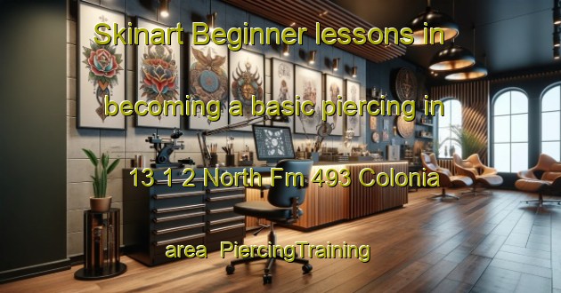 Skinart Beginner lessons in becoming a basic piercing in 13 1 2 North Fm 493 Colonia area | PiercingTraining | PiercingClasses | SkinartTraining-United States