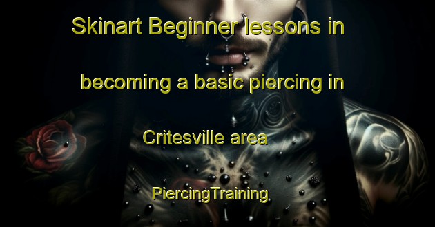 Skinart Beginner lessons in becoming a basic piercing in Critesville area | PiercingTraining | PiercingClasses | SkinartTraining-United States