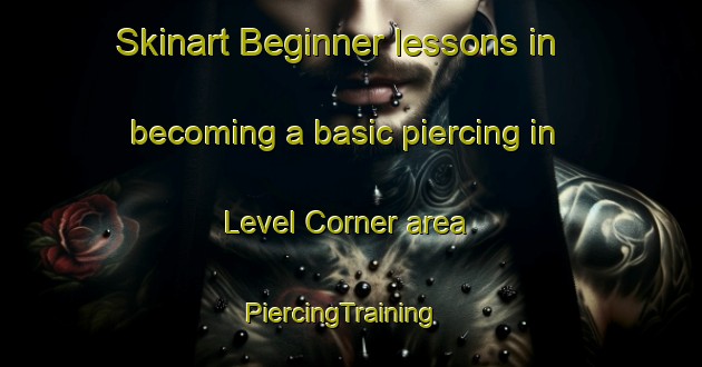 Skinart Beginner lessons in becoming a basic piercing in Level Corner area | PiercingTraining | PiercingClasses | SkinartTraining-United States