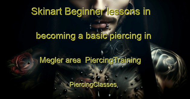 Skinart Beginner lessons in becoming a basic piercing in Megler area | PiercingTraining | PiercingClasses | SkinartTraining-United States