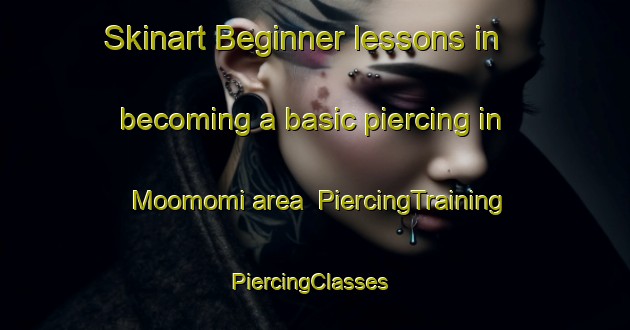 Skinart Beginner lessons in becoming a basic piercing in Moomomi area | PiercingTraining | PiercingClasses | SkinartTraining-United States