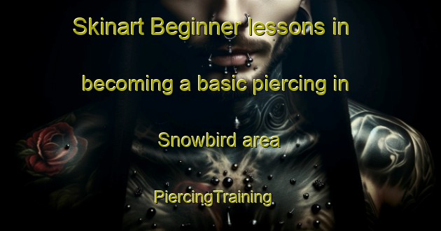 Skinart Beginner lessons in becoming a basic piercing in Snowbird area | PiercingTraining | PiercingClasses | SkinartTraining-United States