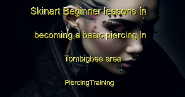 Skinart Beginner lessons in becoming a basic piercing in Tombigbee area | PiercingTraining | PiercingClasses | SkinartTraining-United States