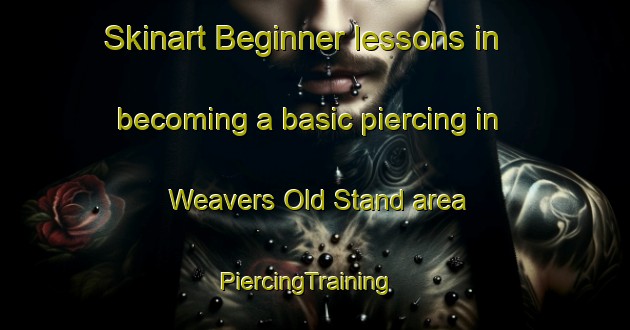 Skinart Beginner lessons in becoming a basic piercing in Weavers Old Stand area | PiercingTraining | PiercingClasses | SkinartTraining-United States