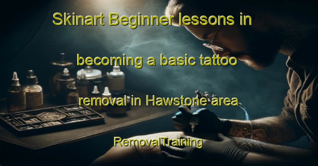 Skinart Beginner lessons in becoming a basic tattoo removal in Hawstone area | RemovalTraining | RemovalClasses | SkinartTraining-United States