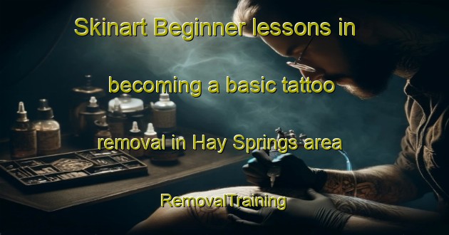 Skinart Beginner lessons in becoming a basic tattoo removal in Hay Springs area | RemovalTraining | RemovalClasses | SkinartTraining-United States