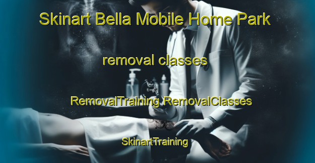 Skinart Bella Mobile Home Park removal classes | #RemovalTraining #RemovalClasses #SkinartTraining-United States