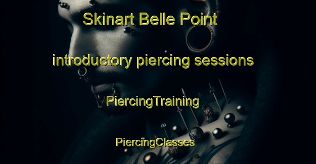 Skinart Belle Point introductory piercing sessions | PiercingTraining | PiercingClasses | SkinartTraining-United States