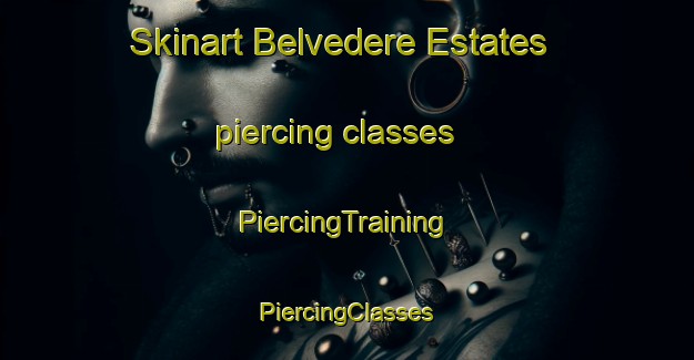 Skinart Belvedere Estates piercing classes | #PiercingTraining #PiercingClasses #SkinartTraining-United States