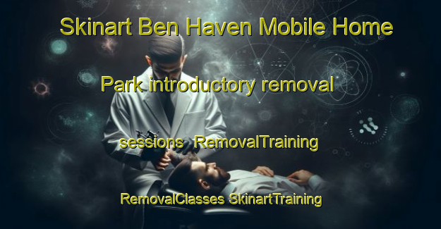 Skinart Ben Haven Mobile Home Park introductory removal sessions | #RemovalTraining #RemovalClasses #SkinartTraining-United States