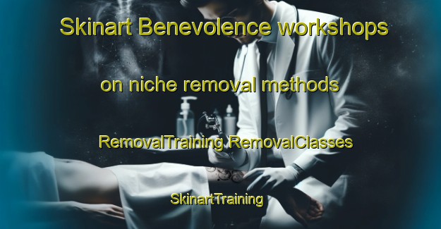 Skinart Benevolence workshops on niche removal methods | #RemovalTraining #RemovalClasses #SkinartTraining-United States