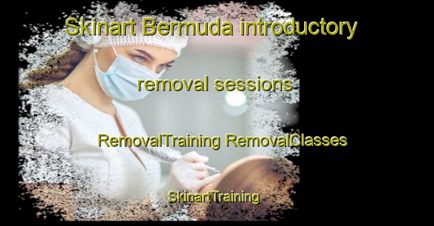 Skinart Bermuda introductory removal sessions | #RemovalTraining #RemovalClasses #SkinartTraining-United States