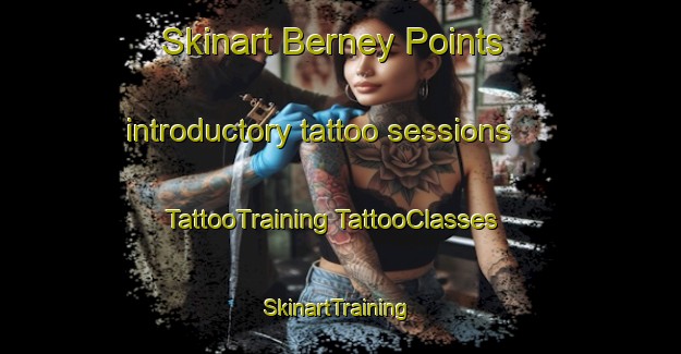 Skinart Berney Points introductory tattoo sessions | #TattooTraining #TattooClasses #SkinartTraining-United States