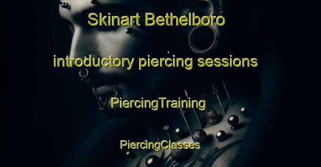 Skinart Bethelboro introductory piercing sessions | #PiercingTraining #PiercingClasses #SkinartTraining-United States