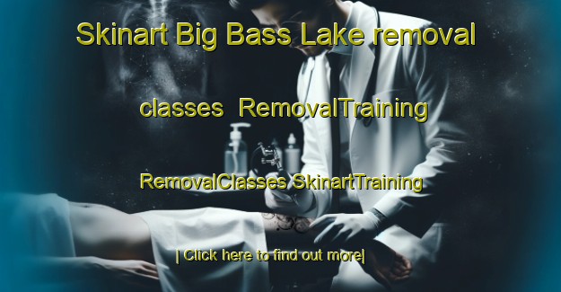 Skinart Big Bass Lake removal classes | #RemovalTraining #RemovalClasses #SkinartTraining-United States