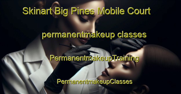 Skinart Big Pines Mobile Court permanentmakeup classes | #PermanentmakeupTraining #PermanentmakeupClasses #SkinartTraining-United States