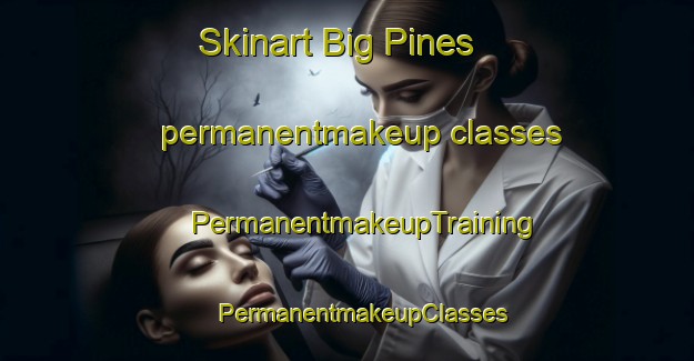 Skinart Big Pines permanentmakeup classes | #PermanentmakeupTraining #PermanentmakeupClasses #SkinartTraining-United States