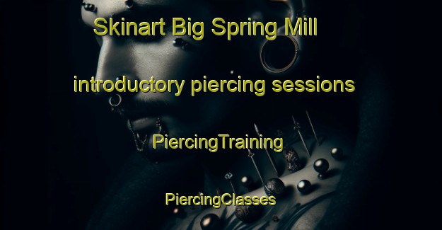 Skinart Big Spring Mill introductory piercing sessions | #PiercingTraining #PiercingClasses #SkinartTraining-United States