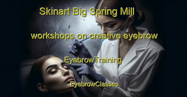 Skinart Big Spring Mill workshops on creative eyebrow | EyebrowTraining | EyebrowClasses | SkinartTraining-United States