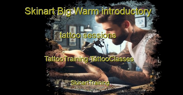 Skinart Big Warm introductory tattoo sessions | #TattooTraining #TattooClasses #SkinartTraining-United States