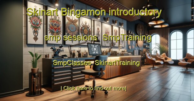 Skinart Bingamon introductory smp sessions | SmpTraining | SmpClasses | SkinartTraining-United States