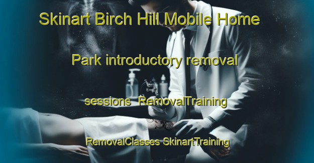 Skinart Birch Hill Mobile Home Park introductory removal sessions | #RemovalTraining #RemovalClasses #SkinartTraining-United States