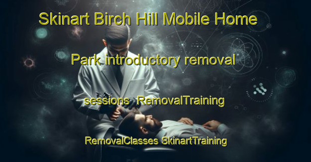 Skinart Birch Hill Mobile Home Park introductory removal sessions | #RemovalTraining #RemovalClasses #SkinartTraining-United States