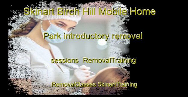 Skinart Birch Hill Mobile Home Park introductory removal sessions | #RemovalTraining #RemovalClasses #SkinartTraining-United States