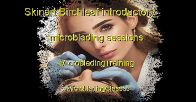 Skinart Birchleaf introductory microblading sessions | #MicrobladingTraining #MicrobladingClasses #SkinartTraining-United States