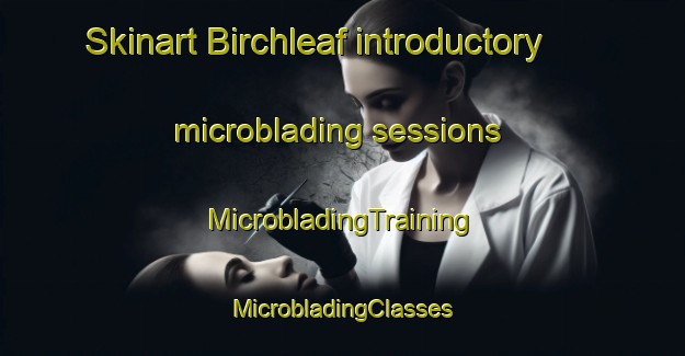 Skinart Birchleaf introductory microblading sessions | #MicrobladingTraining #MicrobladingClasses #SkinartTraining-United States