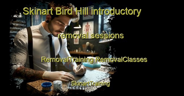 Skinart Bird Hill introductory removal sessions | #RemovalTraining #RemovalClasses #SkinartTraining-United States