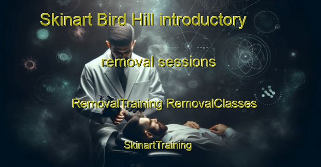 Skinart Bird Hill introductory removal sessions | #RemovalTraining #RemovalClasses #SkinartTraining-United States