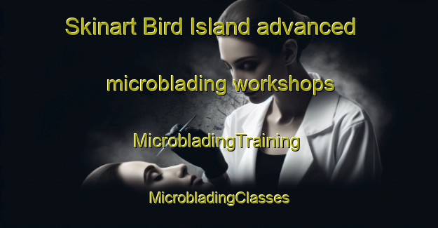 Skinart Bird Island advanced microblading workshops | #MicrobladingTraining #MicrobladingClasses #SkinartTraining-United States